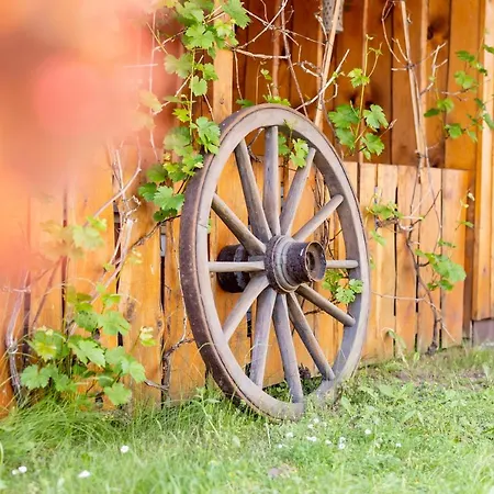 Отель Kummerower Hof 3*